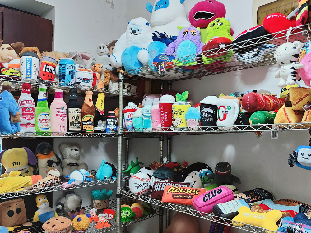 Custom pet toys and pet carrier OEM factory sample room