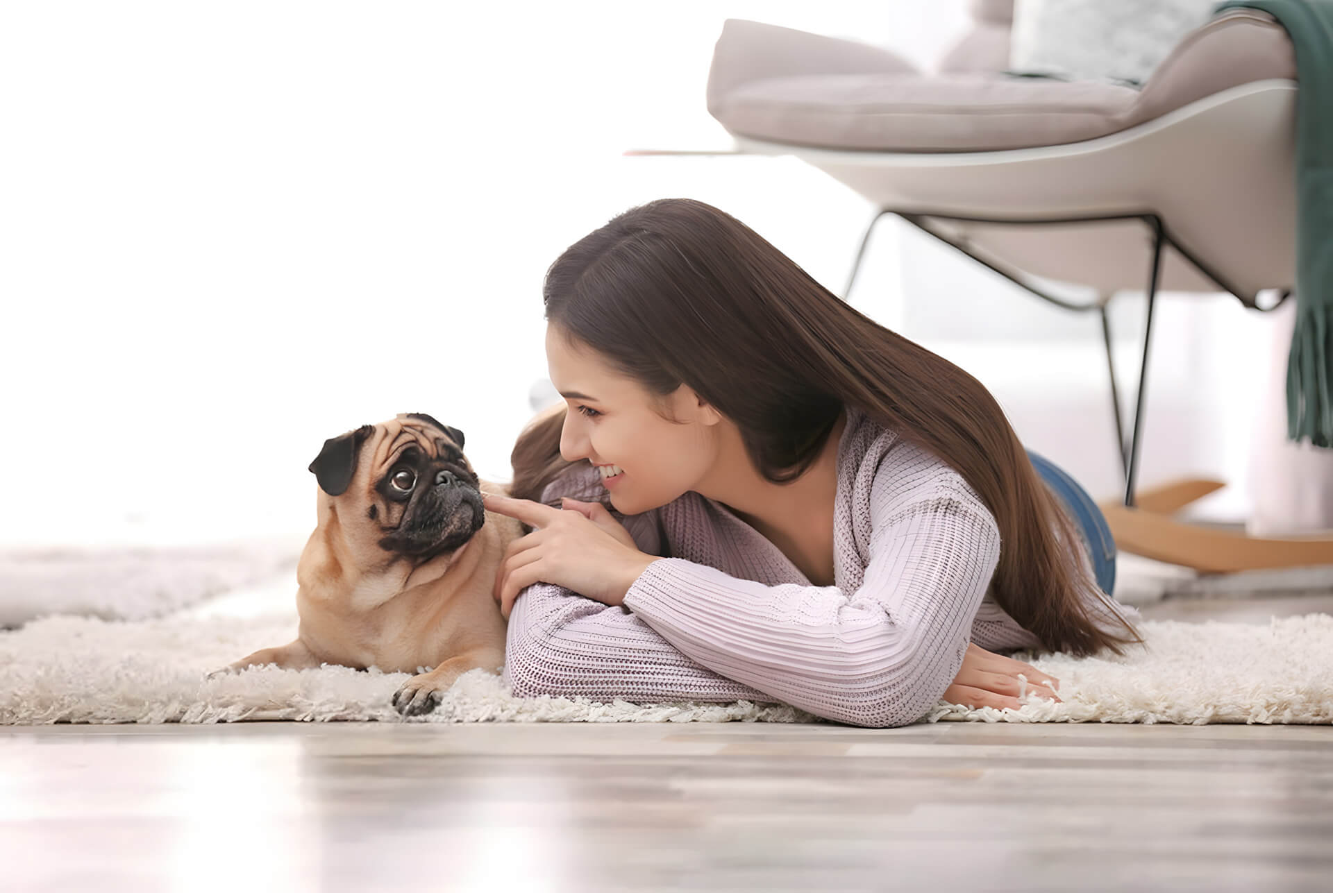 pet supplies manufacturer blog