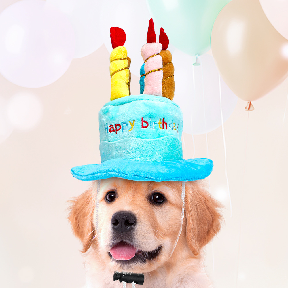 Custom Pet Birthday Gift Plush Soft Party Dog Toy Hat