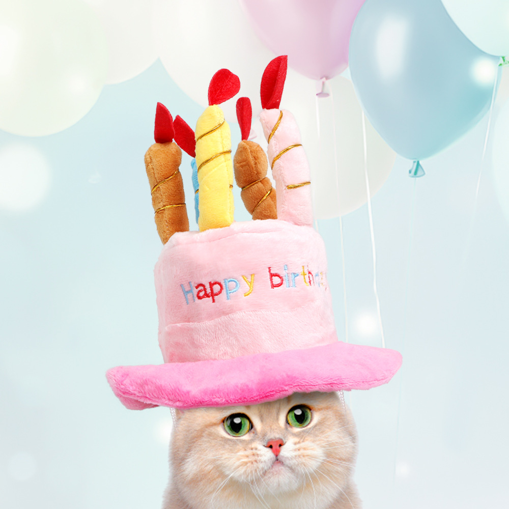 Custom Pet Birthday Gift Plush Soft Party Dog Toy Hat