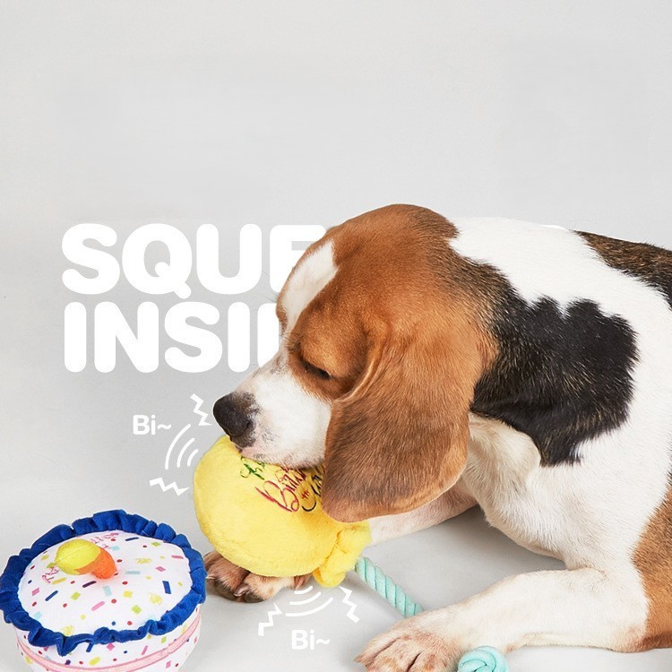 Pet Birthday Gift Custom Plush Cake Dog Interactive Rope Toy