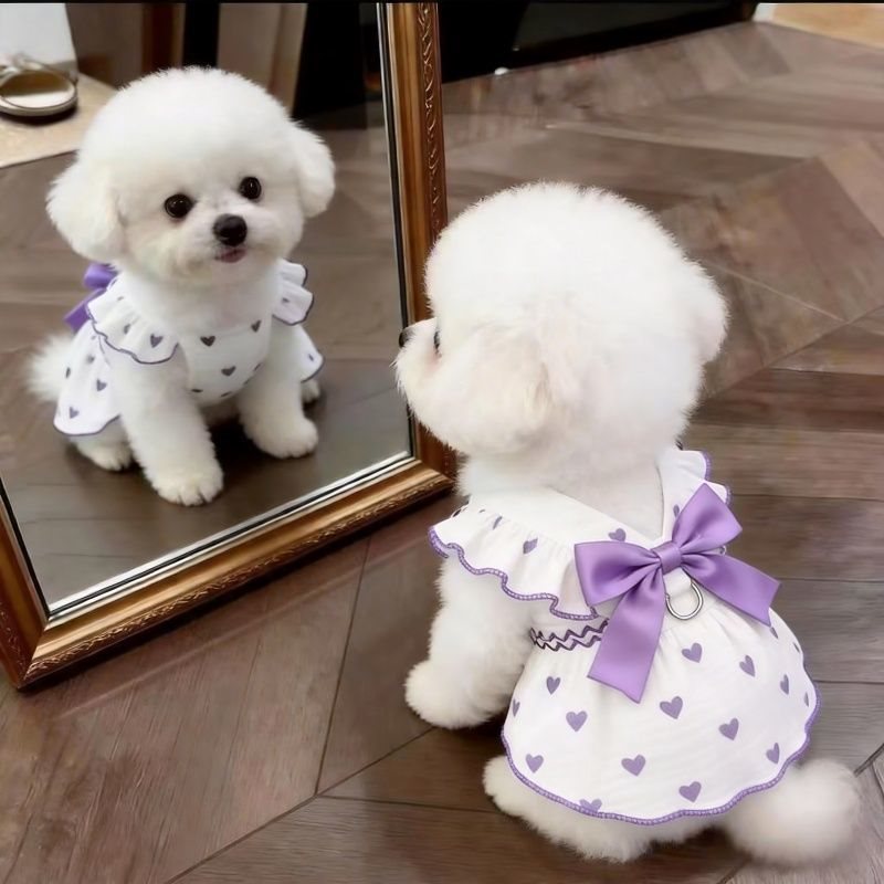 Custom Pet Clothes French Chic Heart-Print Ruffled Dog Cat Dress with Bow