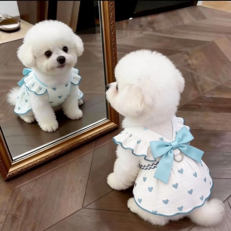Custom Pet Clothes French Chic Heart-Print Ruffled Dog Cat Dress with Bow