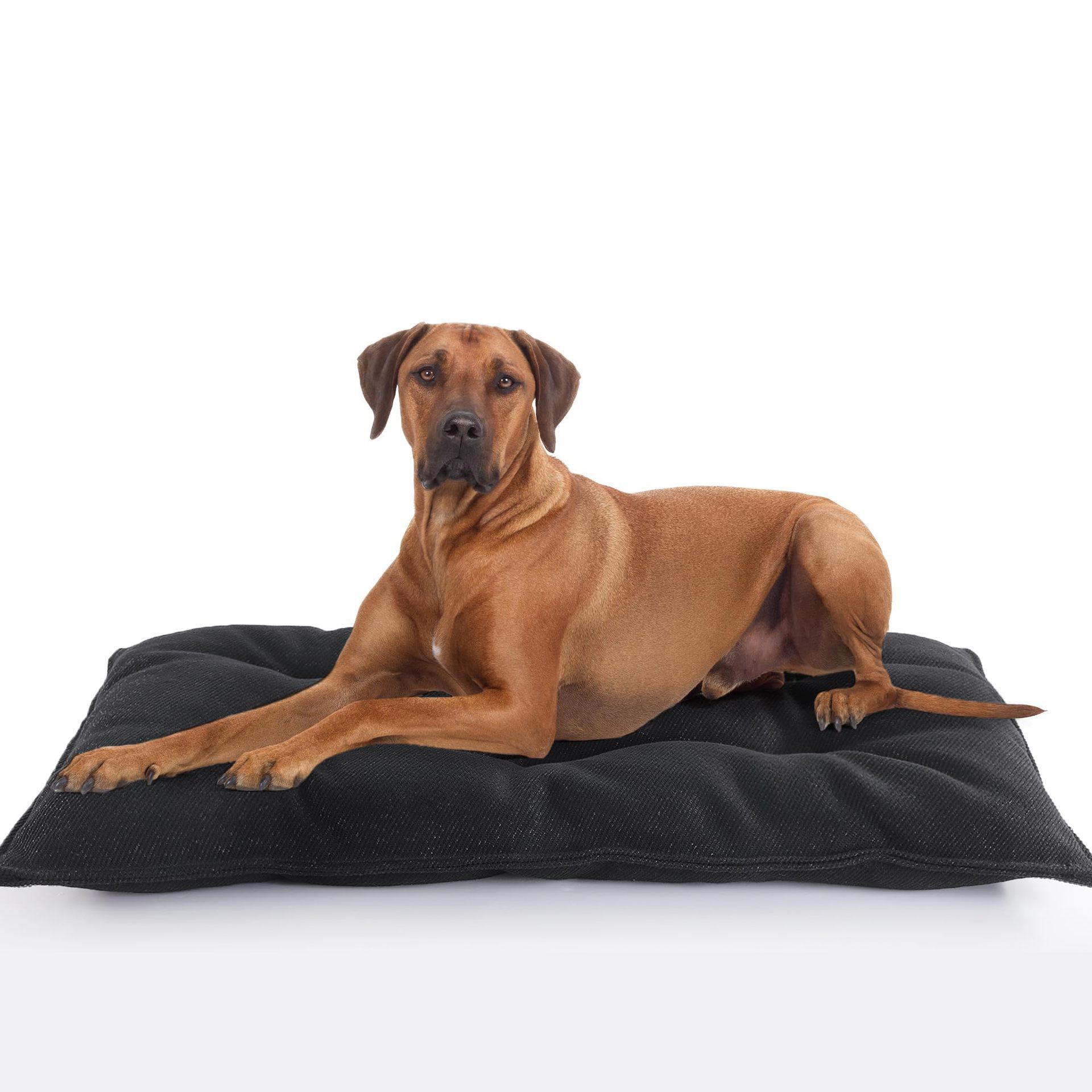 Customized Logo Plush Canvas Pet Mat Cat Cushion Dog Bed