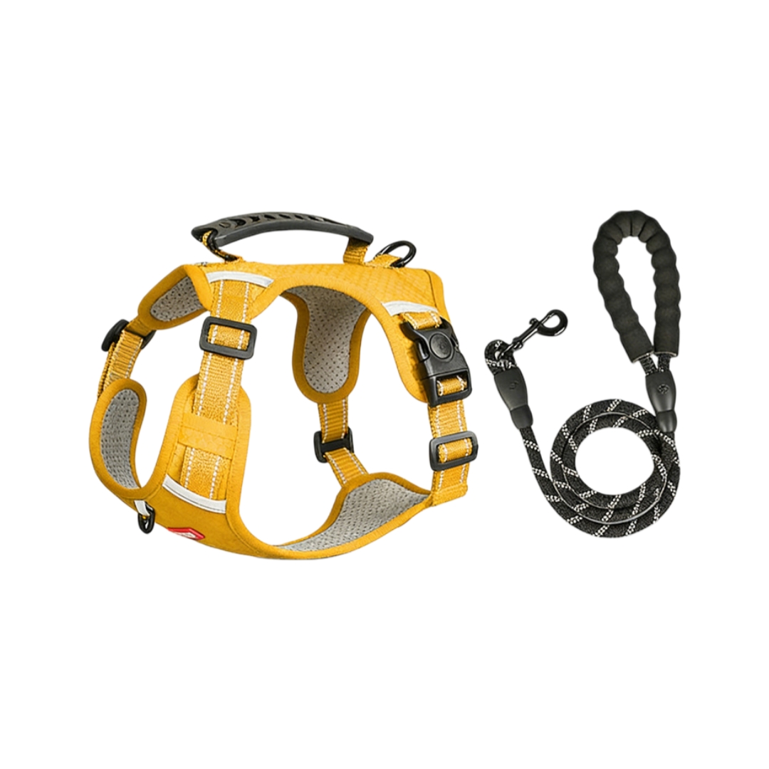 Z-shaped Vest Type Dog Custom Harness Wholesale Pet Products Manufacturer