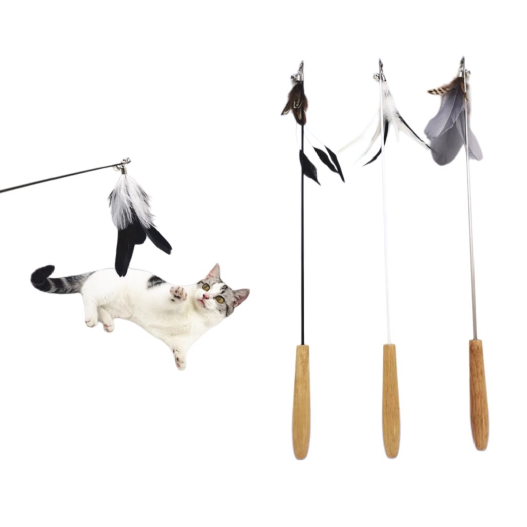 Custom Flexible Steel Wire Feather Cat Teaser Wand with Wooden Handle