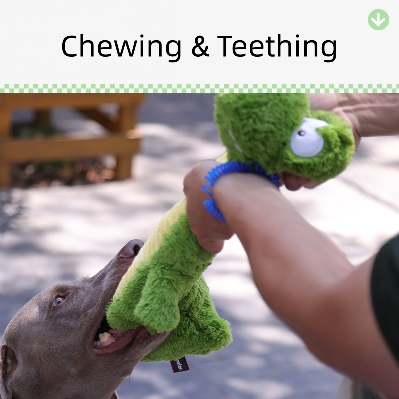 Custom Pet Plush Stuffed Furry Dinosaur Dog Chew Squeaky Toy