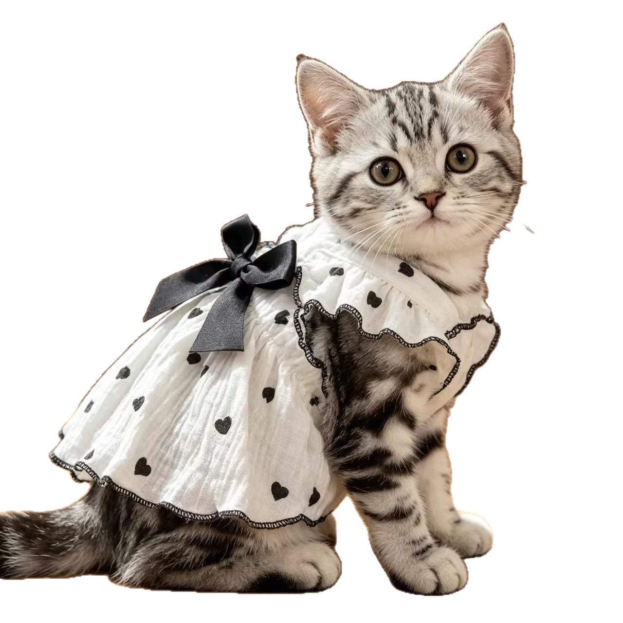 Custom Pet Clothes French Chic Heart-Print Ruffled Dog Cat Dress with Bow