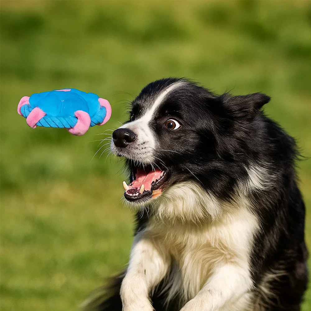 OEM/ODM Pet Plush Frisbee Flower Cotton Rope Dog Training Toy