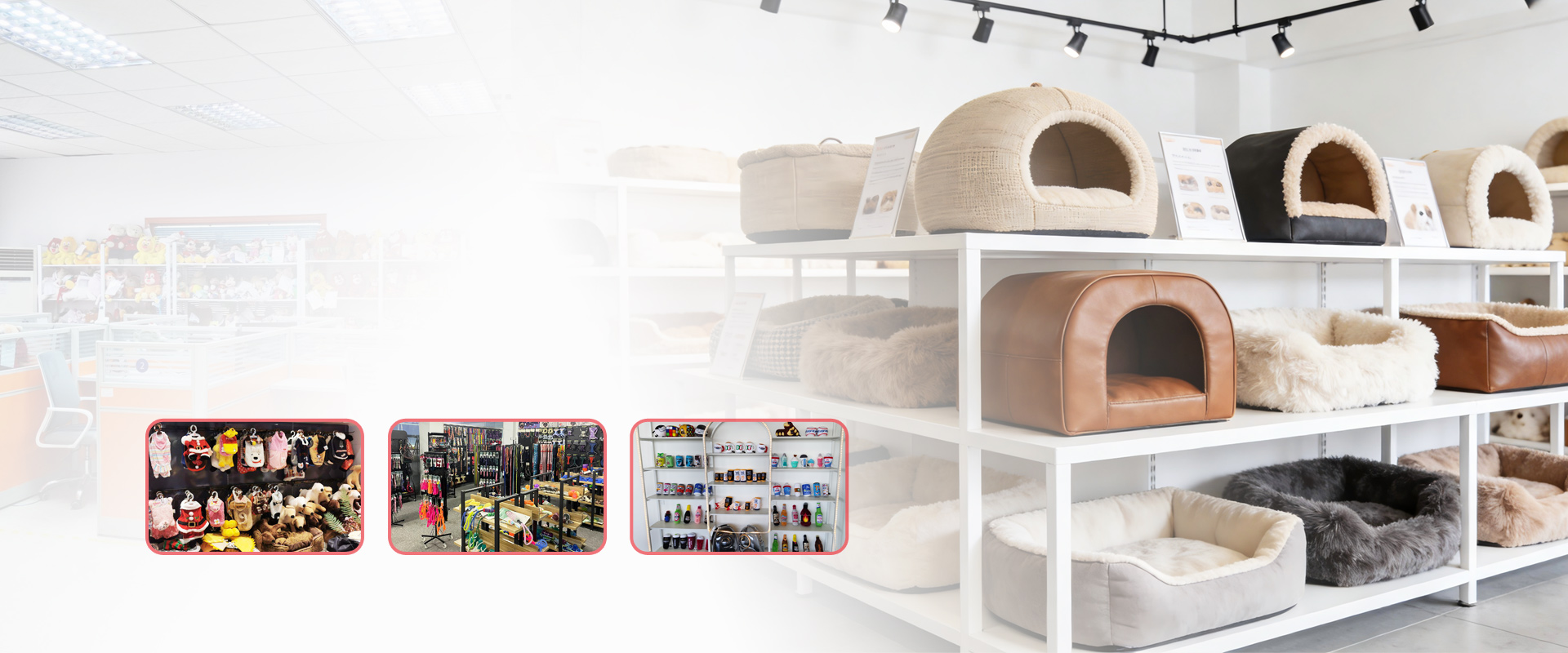 CUSTOM PET SUPPLIES MANUFACTURER