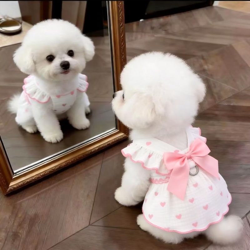 Custom Pet Clothes French Chic Heart-Print Ruffled Dog Cat Dress with Bow