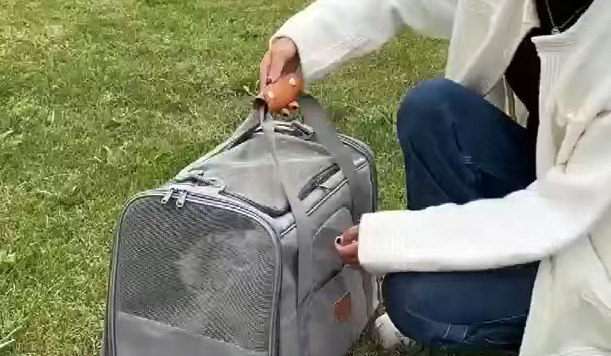 Product & Sample Videos